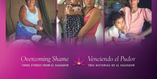 Cervical Cancer Brochure - Pan American Health Organization