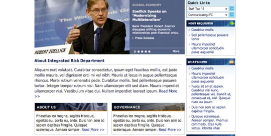 International Finance Corp - Integrated Risk Management Website (Prototypes)