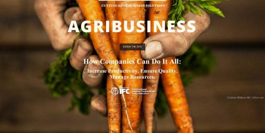 IFC - Sustain Business Magazine - Landing Page