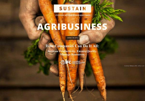 Sustain Business Website